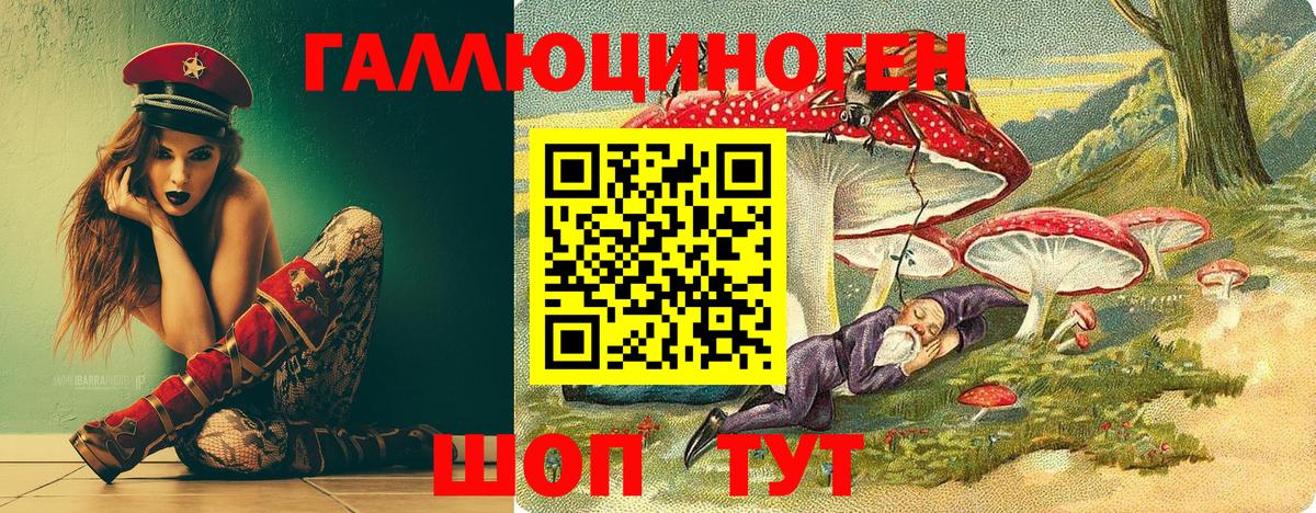Галлюциногенные грибы MAGIC MUSHROOMS  Вход с VPN  Анапа  купить наркотики цена  Псилоцибиновые грибы ЛСД 
