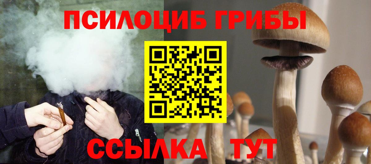 Псилоцибиновые грибы прущие грибы Анапа